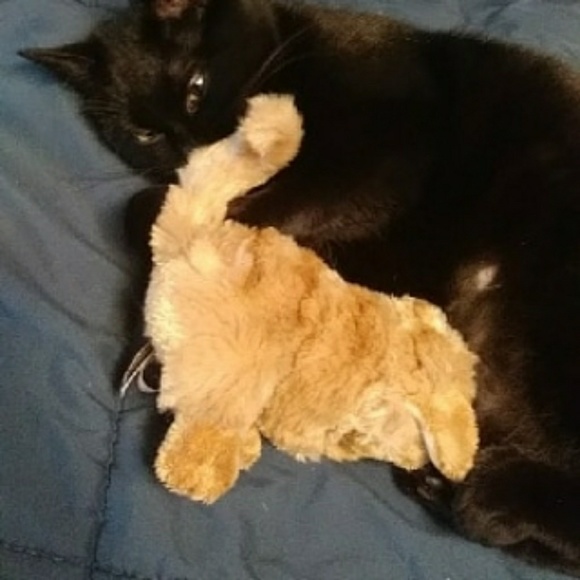 Meet your Posher, Ashley - Picture 3 of 4